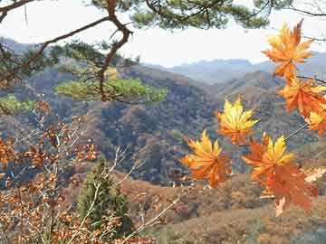 满城加油站闹鬼事件（满城加油站闹鬼事件真相）